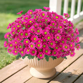Artificial Mums Flowers For Outdoors 6 Bundles Fake Fuchsia Daisy Faux Silk Floral Plants Look Real Decoration For Outside Indoor Planter Home Garden Front Door Porch Spring Summer Decor