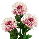 3Pcs Artificial Flowers Mums Spider Mum Flower 28.3'' Long Stem Fake Chrysanthemum Flowers Leucospermum Cordifolium Arrangement Faux Pincushion Flowers Bouquet For Home Decor Red & White