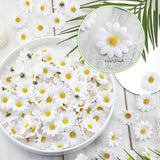 200 Pieces Faux Daisy Flower Heads For Craft Mini Fabric Daisy Flower Heads Bulk 1. 57 Inch Artificial Fake Small Daisies Art Diy Craft For Summer Wed Birth Party Decor (White)