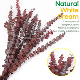 20Pcs Dried Red Eucalyptus Stems 17" Natural Fresh Eucalyptus Plant For Shower Hanging, Wedding Decor Home Decor Farmhouse Decor Diy Spring Decor,Green