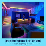 - Bundle - Rgbic Led Strip 5M Plus 2 60W A19 Color Bulbs - Control With Voice Or App + Activate With Motion - Matter Compatible