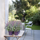 19.6" Fake Lavender Flowers Artificial Purple 5Pcs Faux Florals Plastic Flowers With Daisies Bulk Bush Spring Summer For Garden Porch Table Centerpieces Home Kitchen Wedding Decorations