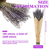 12 Pack Total 2280 Stems Dried Lavender Bundle Bulk Organic Lavender Flowers Decor Natural Dried Purple Flowers Bunches For Bathroom Shower Diy Arrangements Wedding Home Party Decorations