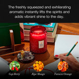 Voluspa Goji Tarocco Orange Candle, 18 oz, Coconut Wax Blend, Scented Candles for Home, 100 Hour Burn Time, Candle Jars