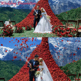 2200 Pcs Dark-Red Silk Rose Petals For Romantic Night,Wedding,Proposal Anniversary Flower Decorations