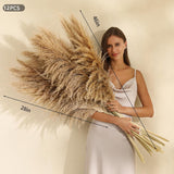 12 Stems 46 Inch Tall Pampas Grass Decor - Large Fluffy Dried Pompas Grass For Floor Vase - Rustic Wedding, Baby Shower, Party, Farmhouse, Boho Home Decor…