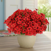 12 Bundles Artificial Flowers For Outdoor Indoor, Fake Silk Daisy With Eucalyptus Leaves, Faux Flower For Valentine'S Day Decor Garden Front Door Porch Planter Patio Home Decor (Red)