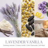 Homelights Scented Candles | Large Jar 34 Oz Natural Soy Candle | 130 Hrs Long-Lasting With 3 Wicks | Bohemian Natural For Home Decor | Gifts For Mom & Women, Lavender Vanilla