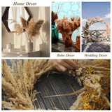 100 Pcs Dried Pampas Grass Decor 17 Inch Bulk Natural Small Pompous Wild Fluffy Pompas Floral Boho Decor Flowers For Wedding Party Farmhouse Home Decor Bathroom Office Kitchen (White, Brown)