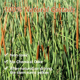 Dried Natural Brown Cattails Flowers - 20Pcs Real Broadleaf Pencil Cattail Stems Bundles, 17'' Bulrush Plants Dry Flower For Diy Floral Arrangements, Wedding Home Office Gardens Decor