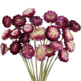 22 Pcs Natural Dried Daisy Flowers Bouquet Dried Flower Purple Daisies Dried Sunflowers Chrysanthemum With Stem For Wedding Farmhouse Table Vase Decor Home Diy Flower Arrangement