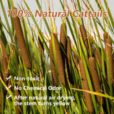 45Pcs Large Natural Brown Cattails Bundles - Dried Flowers Real Cat Tails For Decorating, 17'' Jumbo Cattail Bulrush Plants Floral Stems Artificial Pampas Grass Arrangements Wedding Home Farmhouse