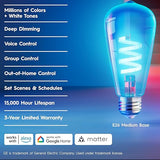GE Smart ST19 Edison LED Bulbs 2 Pack Color Changing WiFi Light 60W Equivalent Alexa Google Home