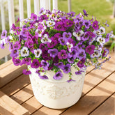 Artificial Fake Pansy Flowers For Outdoor, 12 Pcs Faux Silk Pansies Flower For Spring Summer Decoration, Uv Resistant Fake Plants For Outside Planter Porch Yard Patio Home Decor(Mixd Purple)
