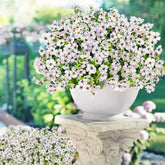 14 Bundles Fake Mums Fake Plants Artificial Mums For Outdoors Artificial Flowers For Yard Porch Home Garden Fall Indoor Outdoor Decor(White)