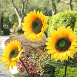 Sunflowers Artificial Flowers Set,5.6 Ft Giant Silk Fake Sunflower Decoration,Sunflower Decor For Rustic Wedding Backdrop,Outdoor Garden Party Photo Props,Shop Window Displays(3Pcs)