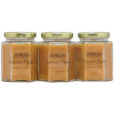 3 Pack - Harvest Spice Scented Blended Soy Candle | Fall Fragrance Candles | Hand Poured In The Usa By