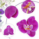 40 Pieces Orchid Petals Artificial Decorations Orchids Heads Flowers Faux Silk Phalaenopsis Butterfly Flower Heads For Diy Craft Home Wedding Party (Dark Purple)