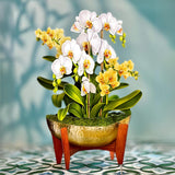 Pop Up Cards, Serenity Orchid, 12 Inch Life Sized Forever Flower Bouquet 3D Popup Greeting Card, Birthday Cards, Get Well Gifts, Blank Notecard & Envelope