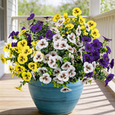 17 Inch Artificial Faux Pansy Flowers For Outdoor,Fake Pansies Flowers With Eucalyptus Leaves Fake Plants Greenery Boxwood Porch Patio Decor 6 Bundles(Dark Purple, Yellow, White)