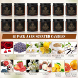 12 Pcs Nurse Appreciation Gifts Scented Candles 3.5 Oz Soy Wax Candles For Nurses Week Registered New Future Practitioner School Graduation Gifts (12 Fresh Scents,Brown)