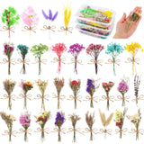 30 Pcs Mini Don'T Forget Me Flower Bouquets Purple Natural Dried Flowers Bouquet Dry Flower&Leaves Lavender Dried Embossing Flower Bundles Plant Stem Bunch For Diy Craft,Photo Props,Wedding Decoration