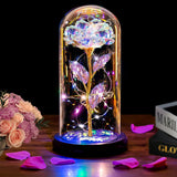 Valentines Day Gifts For Her, Valentines Rose Flowers Gifts For Women Mom Wife Girlfriend Wife Daughter Grandma,Light Up Rose In A Glass Dome Gifts For Mom,Birthday Gifts For Women, Gold Rose