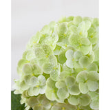 3Pcs Large Hydrangea Artificial Flowers,20 Inch Latex Real Touch Hydrangeas Lifelike Hydrangea Flower For Home Wedding Bouquets Centerpieces Party Living Room Decoration(Light Green)