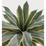 32 Inch Tall Large Faux Agave Plant With Two-Tone Sawtooth Edged Leaves; Planted In Black Pot With Real Stone Pebbles. Large Artificial Plants Indoor And Outdoor.