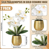 2 Pcs Orchids Artificial Flowers In Gold Ceramic Vase 13'' White Fake Flowers Phalaenopsis Faux Orchid For Home Office Wedding Party Dining Room Table Centerpiece Decoration