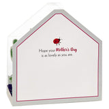 Hallmark Paper Wonder Mothers Day Pop Up Card (Succulent, Moms Make the World More Beautiful) (599MBC1137)