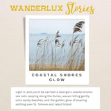 Coastal Shores Glow Soy Candle – Georgia Collection – Hand-Poured In Usa, Sandalwood, Sea Salt, Eucalyptus, Brass Tin With Lid, 6.5 Oz