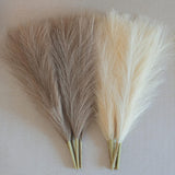 Faux Pampas Grass, 18"/45Cm Artificial Pampas Grass Fluffy 6 Stem Pompous Grass Flower Arrangement For Boho Home Wedding Decoration (Beige,Taupe)
