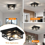 2 Pack Vintage Farmhouse Ceiling Lights 2 Light Flush Mount Industrial Fixtures