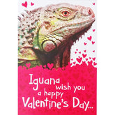 Iguana Wish You A Happy Valentine'S Day