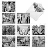 - 10 Blank Note Cards With Envelopes (4 X 5.12 Inch) - Black & White Photos, Bulk Boxed Set - Trunks Of Love M2370Ocb
