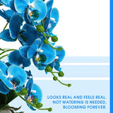 Artificial Orchid Plants And Flowers With Vase, Fake Faux Orchid In Ceramic Pot,19”, Blue
