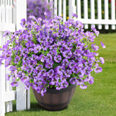 Artificial Pansies Fake Plants Flowers For Outdoor Decoration, 12 Bundles Uv Resistant Realistic Faux Silk Flowers With Eucalyptus Lavender For Spring Summer Garden Porch Window Box Balcony Home Decor