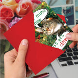 - 12 Funny Cat Christmas Cards With Envelopes - Pet Animal Holiday Humor, Boxed Notecard Set (1 Design, 12 Cards) - Never Mind How, Just Get B1960