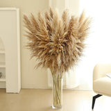 12 Stems 46 Inch Tall Pampas Grass Decor - Large Fluffy Dried Pompas Grass For Floor Vase - Rustic Wedding, Baby Shower, Party, Farmhouse, Boho Home Decor…