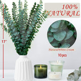 10Pcs Dried Eucalyptus Stems For Shower 17" Real Natural Hanging Eucalyptus Stems, Real Fresh Leaves Branches For Vase Filler, Wedding, Bathroom Decor, Home Decor, Dried Flowers Arrangement Decor