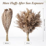 250 Pcs Dried Pampas Grass Decor 17 Inch Bulk Natural Small Pompous Wild Fluffy Pampas Floral Boho Decor Flowers For Wedding Party Farmhouse Home Bathroom Office Kitchen (Brown)