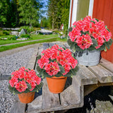 2 Pack Artificial Geraniums Fake Flowers For Outdoors Spring Summer Decor, Silk Geranium Flowers Potted Plants Uv Resistant Faux Plant For Gardens Farmhouse Indoor Home Table Decor (Rose Red)