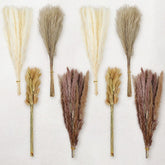 17" 200Pcs Dried Pampas Grass Decor, Naturally Small Boho Pampas Grass With Bunny Tails & Reed Grass For Home Table Decor, Wedding, Rustic Farmhouse Party Decorations, White And Brown