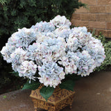 Light Blue Hydrangea Bush | 7 Sprays | 2 Pack | Uv Resistant | Silk Flowers & Foliage | Indoor/Outdoor Use | Adjustable Stem | Flowering Bush | For Home, Office, Porch, Patio Decor