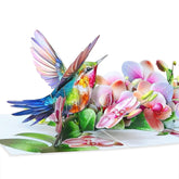 Birthday Cards For Women - Hummingbird Pop Up Card, Handmade Gift For Mom, Wife, Grandma, Daughter, Friend – Greeting Cards For All Occasions (Hummingbird And Orchid)