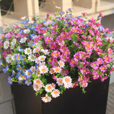 Artificial Flowers For Outdoors Colorful Daisy 20 Bundles Faux Plant Outdoor Spring Summer Decor Realistic Fake Plants Outside For Planters Front Porch Backyard Decor (20 Bundles 4 Colors)