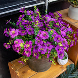 12 Bundles Artificial Fake Plants Flowers For Outdoor,Uv Resistant Spring Flowers Garden Décor No Fade Plastic Greenery Home Garden Porch Patio Decor Office