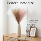 Pampas Grass Decor 30Pcs 21.7 Inch, Faux Pampas Grass White Pink Brown Artificial Dried Flowers Fluffy No Shedding For Boho Wedding Home Bedroom Vase Filler