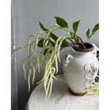 3Pcs Artificial Amaranthus Flower Fake Hanging Green For Wedding Bouquets Home Decor Arrangement Photo Props Party Decoration 37''(White)